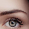 Brow